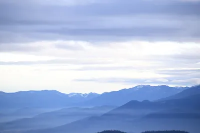 DSC_0101 (Large).JPG